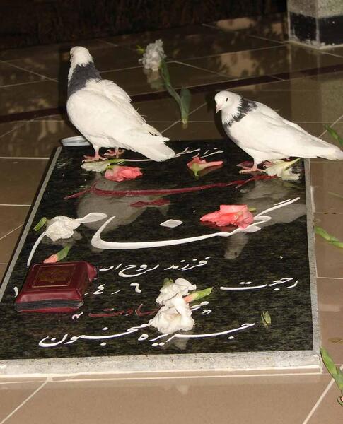 عکس قبر شهدا