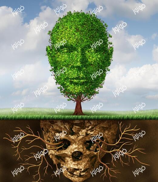 عکس ریشه درخت