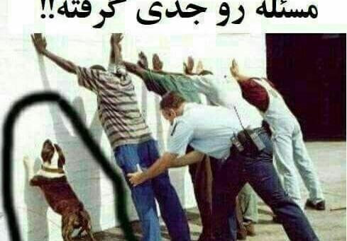 عکس سگ اصحاب کهف