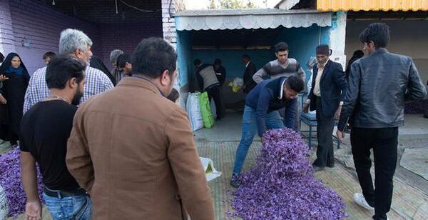 عکس جام زعفران
