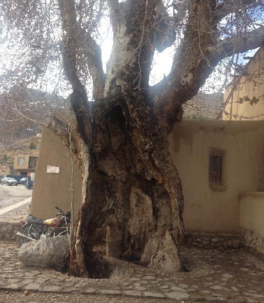 عکس روستای غزازان