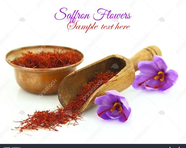 عکس زعفران خشک شده
