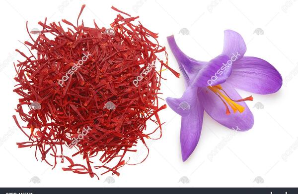 عکس زعفران خشک شده