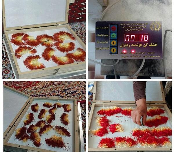 عکس زعفران خشک شده