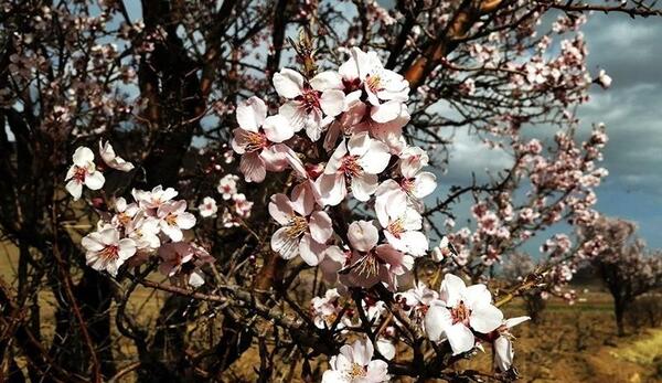 عکس بهار کاظمی