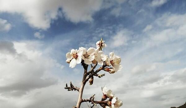 عکس بهار کاظمی