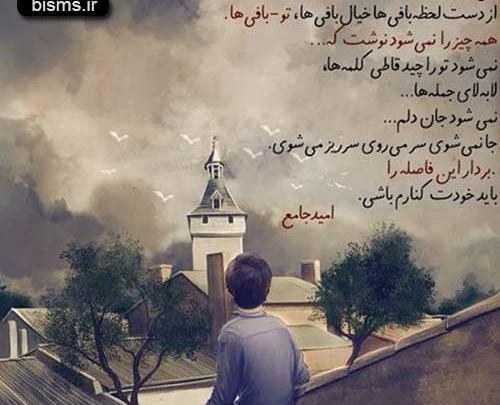 عکس جالب شیک