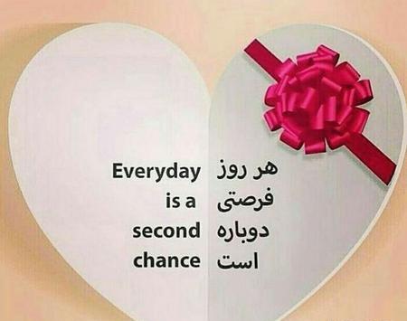 عکس جالب شیک