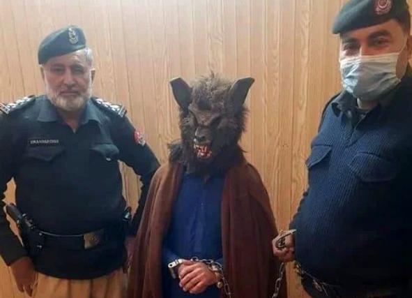 عکس گرگ لباس