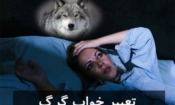 عکس گرگ لباس
