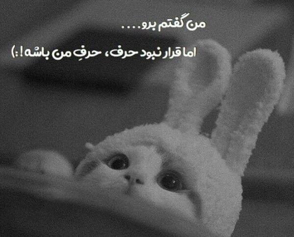 عکس پروف روح