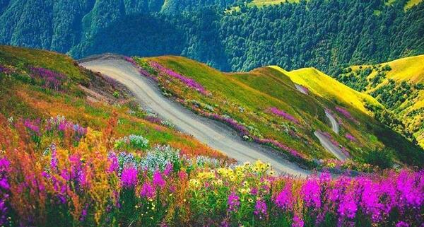 عکس تصاویر طبیعت زیبای گرجستان
