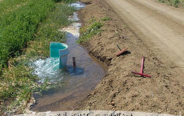 عکس کشت یونجه