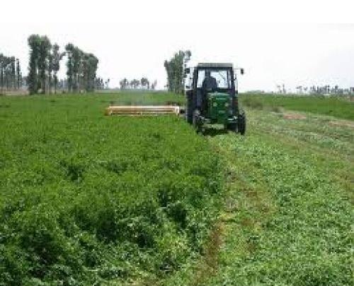 عکس کشت یونجه