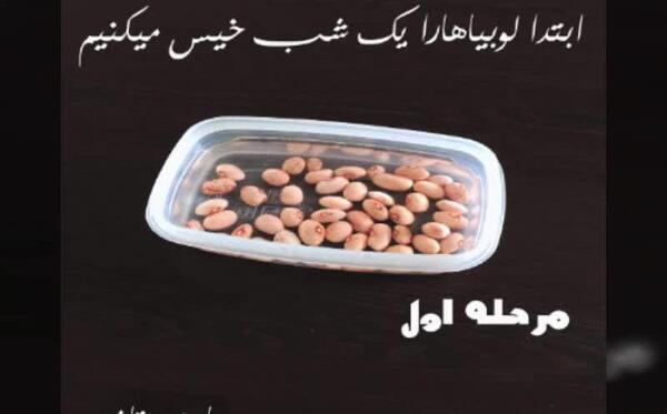 عکس آزمایش کاشت لوبیا کلاس سوم دبستان