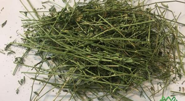 عکس یونجه خرد شده