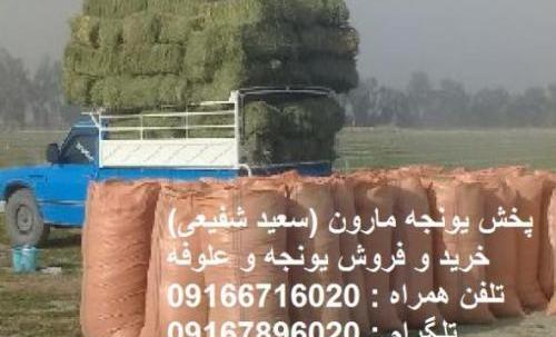 عکس یونجه خرد شده