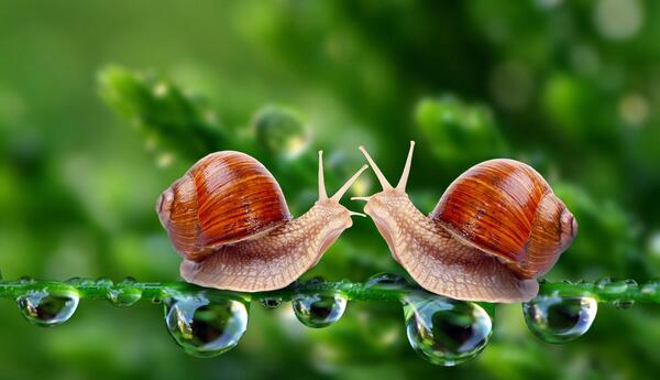 عکس های زیبا از صحنه عاشقانه