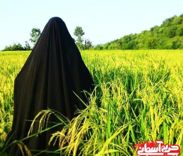 عکس دختر محجبه چادری از پشت