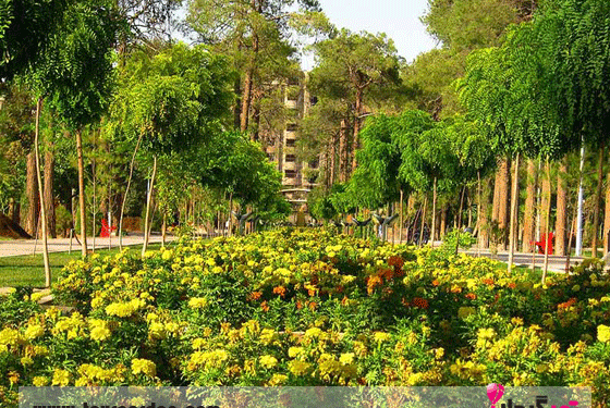 عکس جاهای دیدنی طبیعت شیراز