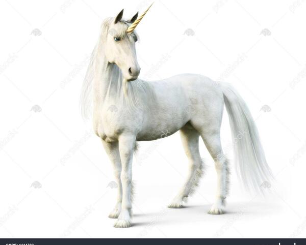 عکس یونجه اسب