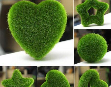 عکس سبزه عید با شاهی