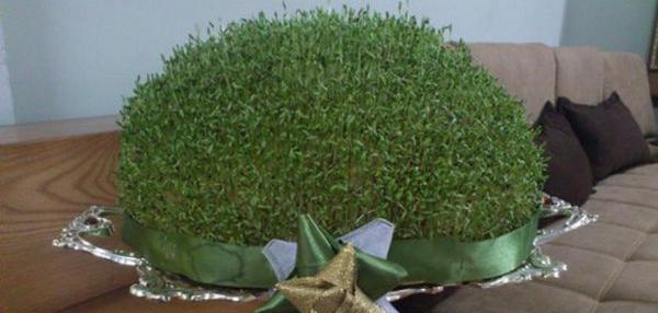 عکس سبزه عید با شاهی