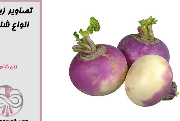 عکس برگ شلغم