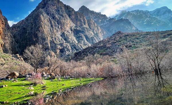 عکس از طبیعت چالابه