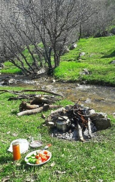 عکس از طبیعت چالابه