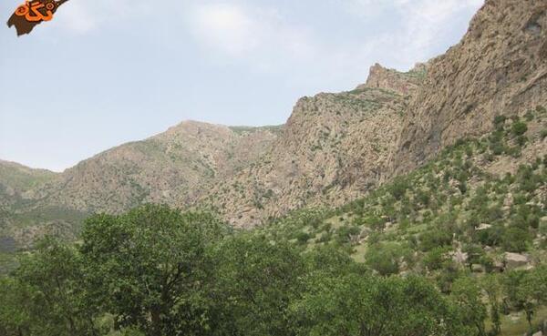 عکس از طبیعت چالابه