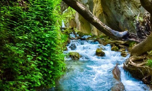 عکس از طبیعت چالابه