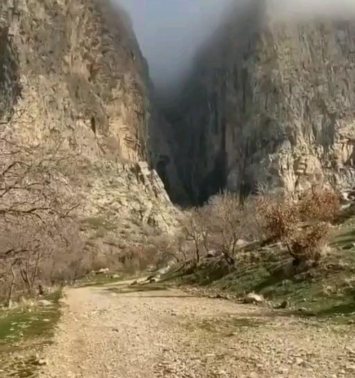 عکس از طبیعت چالابه