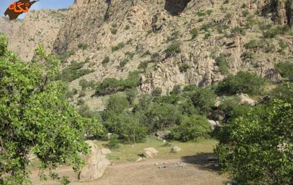 عکس از طبیعت چالابه
