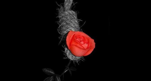 عکس گل برای شکست عشقی