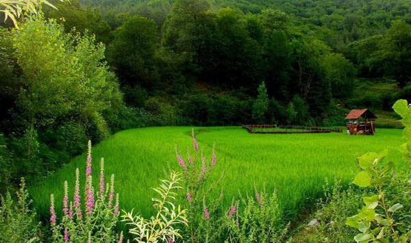 عکسهای زیبای طبیعت مازندران