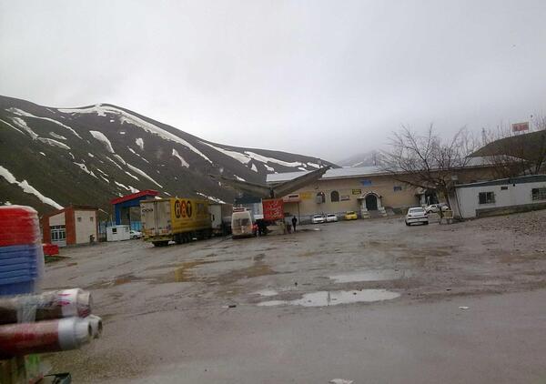 عکس مرز سرو