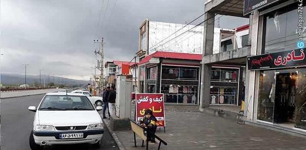 عکس مرز سرو