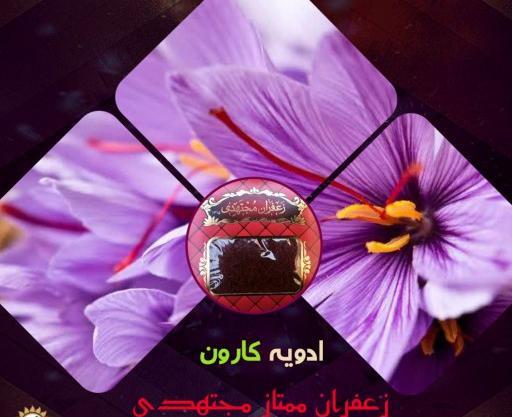 عکس زعفران ناصری