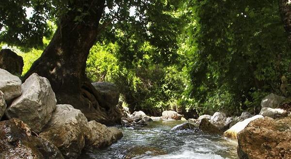 عکس روستا شیمن