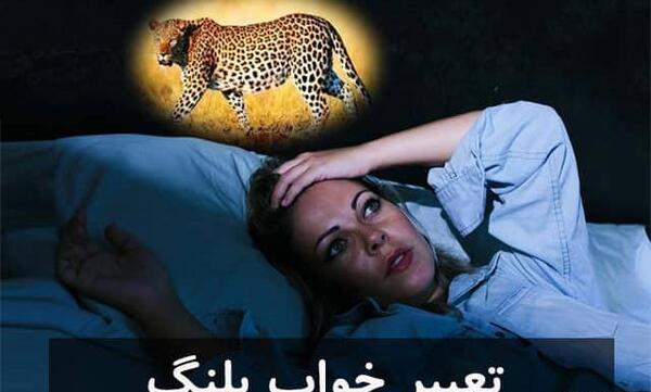 عکس شیر و پلنگ وحشی