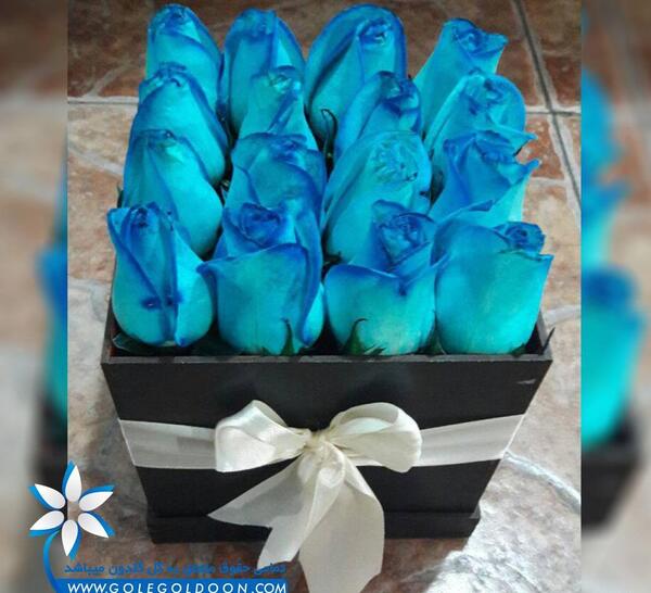 عکس دسته گل رز آبی