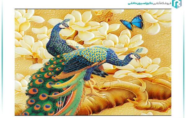 عکس سه بعدی طاووس