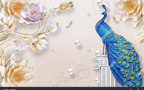 عکس سه بعدی طاووس