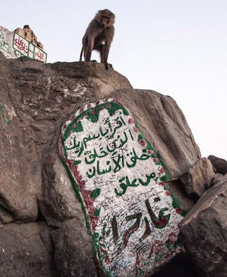 عکس داخل غار حرا