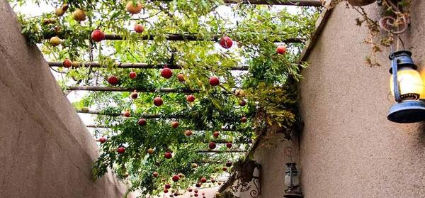 عکس جاهای دیدنی یزد