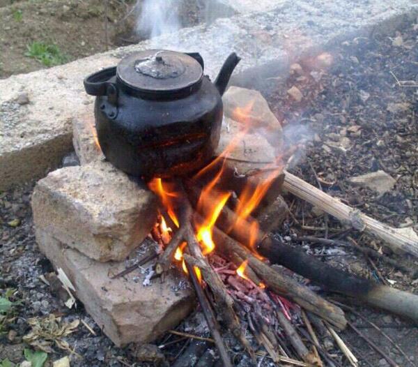 عکس چای ذغالی