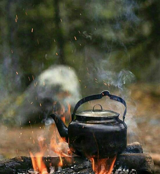 عکس چای ذغالی