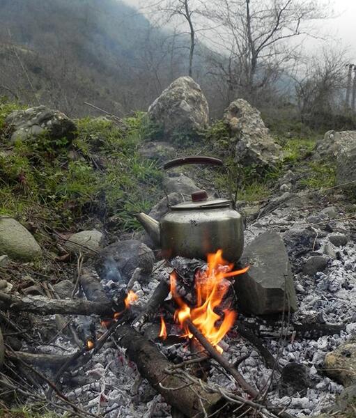 عکس چای ذغالی