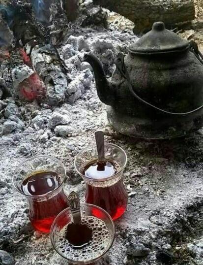 عکس چای ذغالی